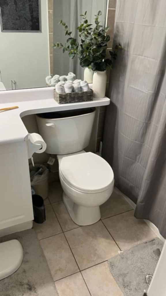 Toilet Repair After Toilet Repair After