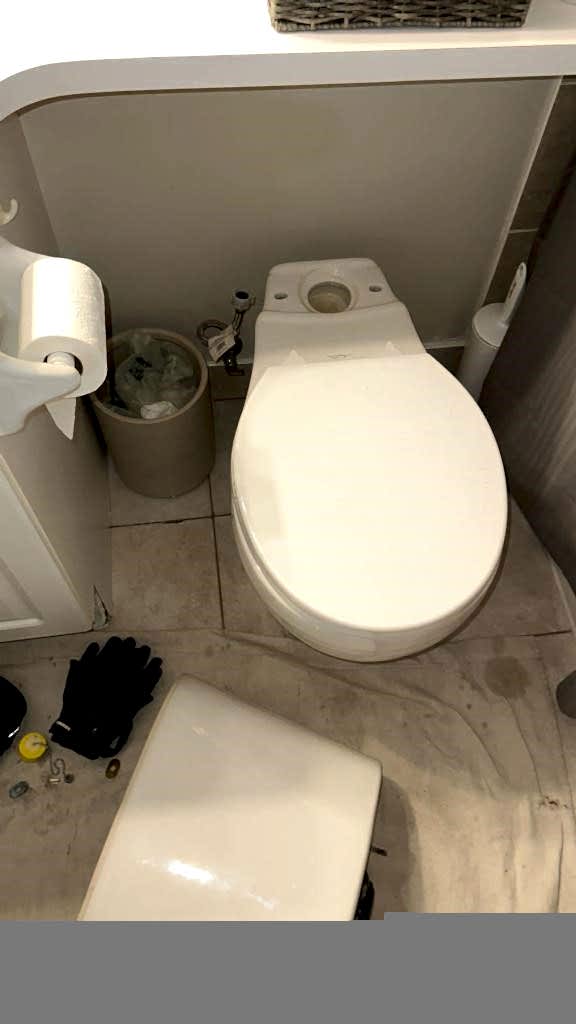 Toilet Repair After Toilet Repair After