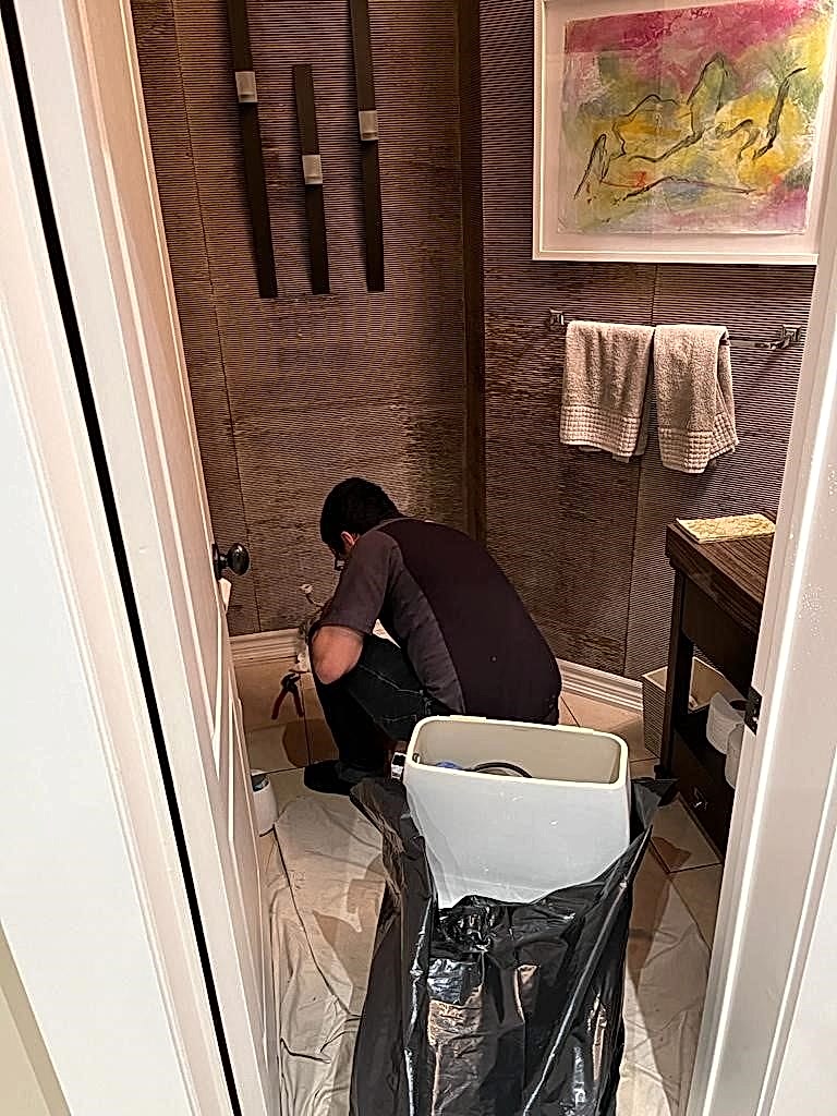 Toilet Replacement Plumber Topham Park Toilet Replacement Plumber Topham Park